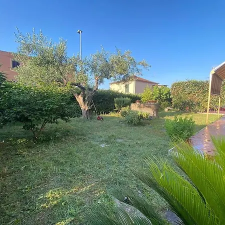 Polly Garden 1